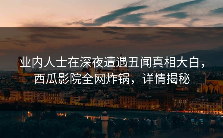 业内人士在深夜遭遇丑闻真相大白，西瓜影院全网炸锅，详情揭秘