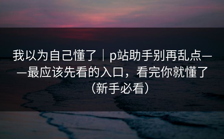 我以为自己懂了｜p站助手别再乱点——最应该先看的入口，看完你就懂了（新手必看）