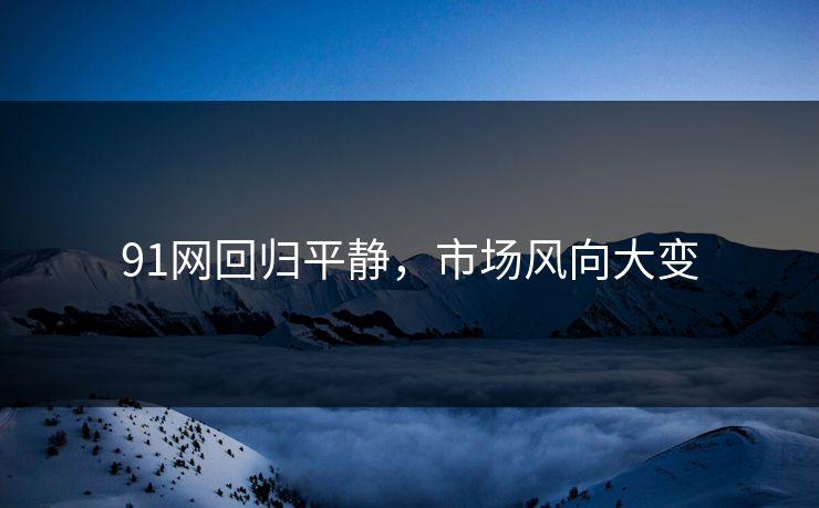详细阅读:91网回归平静,市场风向大变 91网回归平静,市场风向大变