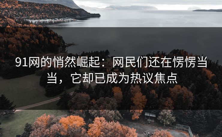 详细阅读:91网的悄然崛起:网民们还在愣愣当当,它却已成为热议焦点 91网的悄然崛起:网民们还在愣愣当当,它却已成为热议焦点
